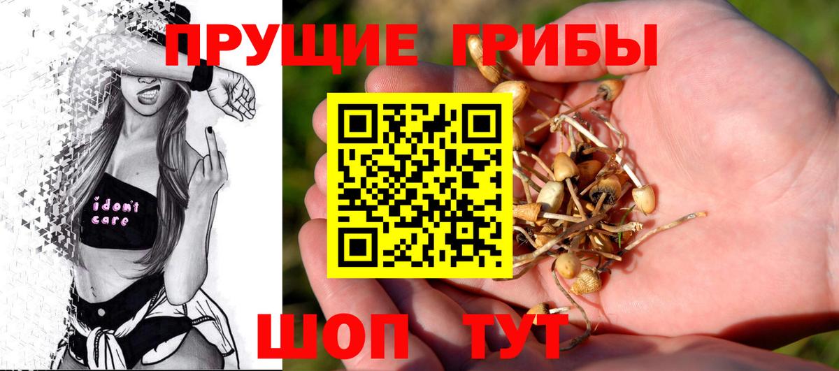 Галлюциногенные грибы MAGIC MUSHROOMS Печора